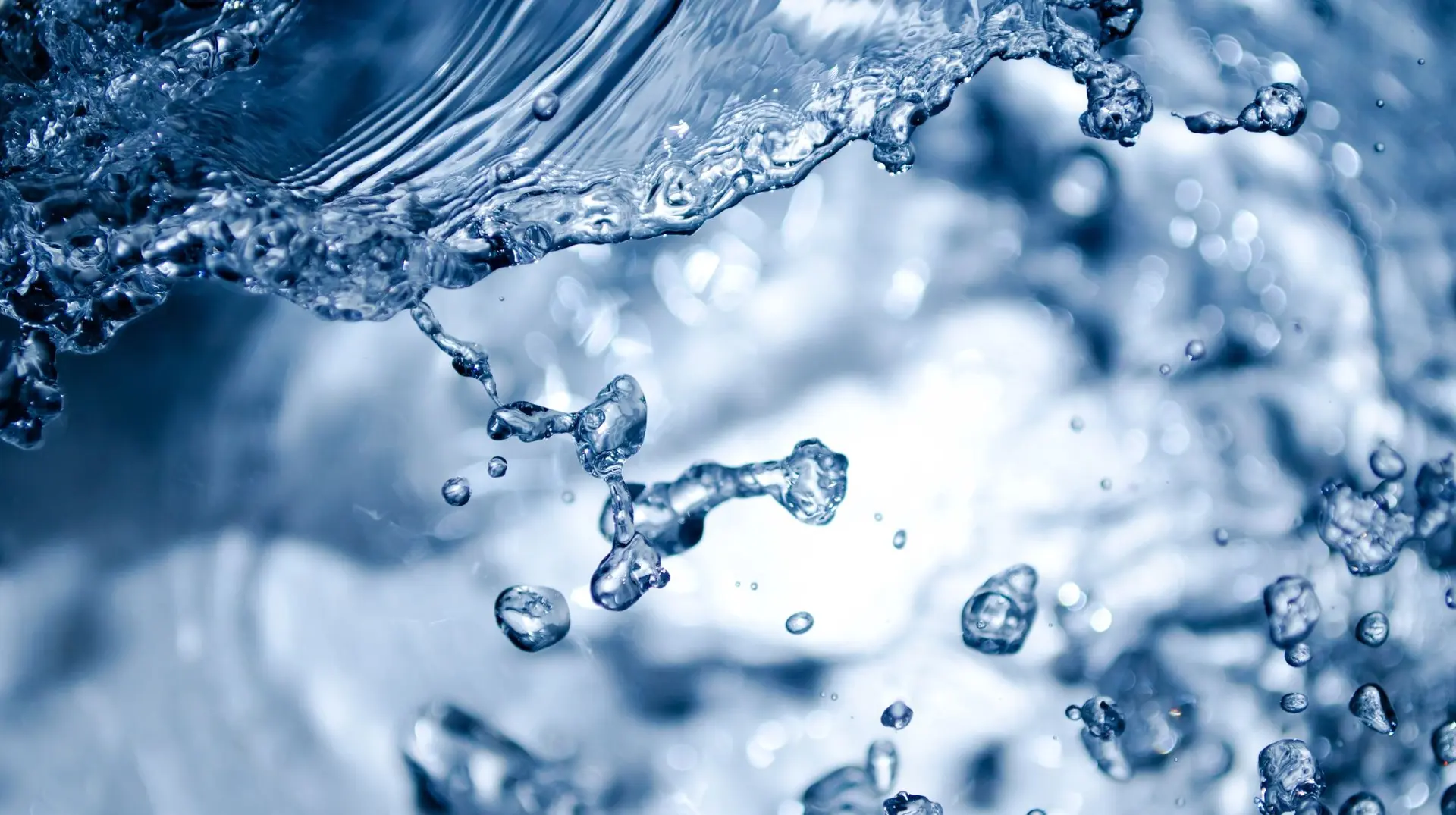Wasser web 